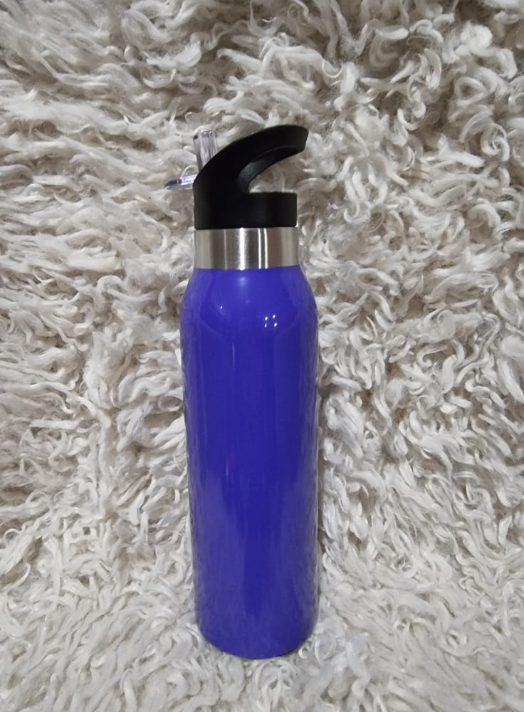 500ml Insulated Drink Bottle